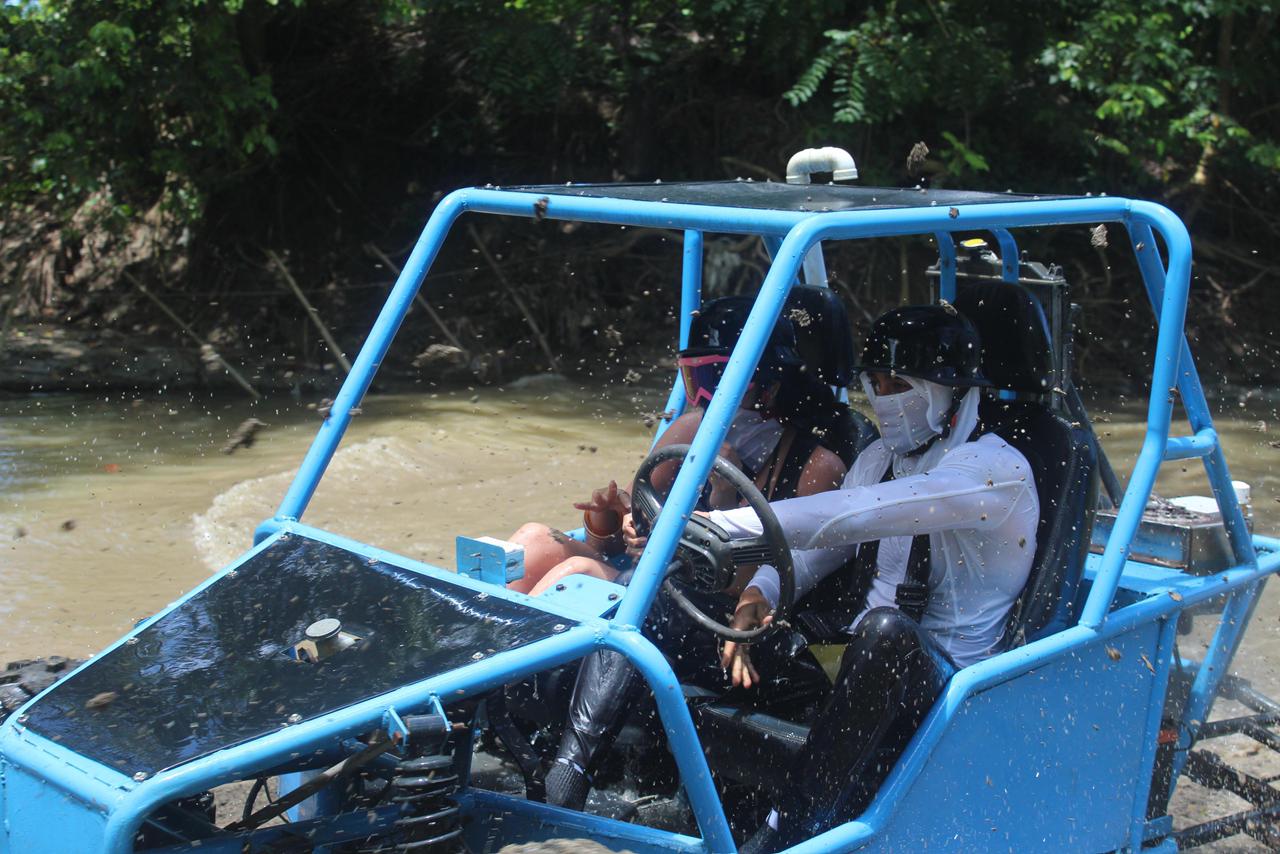 Buggy Small